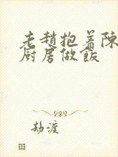 老赵抱着陈婷在厨房做饭封面