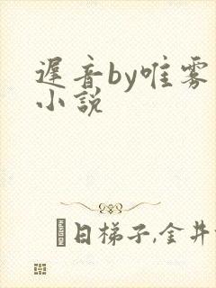 迟音by唯雾的小说