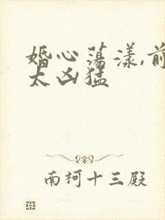 婚心荡漾,前夫太凶猛