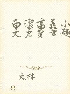 白洁高义小说全文免费笔趣阁在线阅读