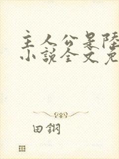 主人公是陆鸣的小说全文免费阅读封面