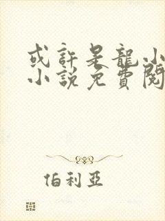 或许是龙小姐吗小说免费阅读