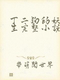 丁二狗的妖孽人生完整小说笔