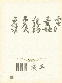 免费观看电影《消失的她》