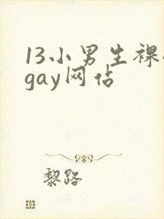 13小男生裸体gay网站