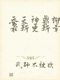 吞天神鼎柳无邪最新更新章节