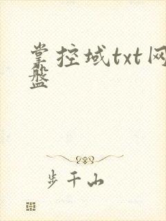 掌控域txt网盘