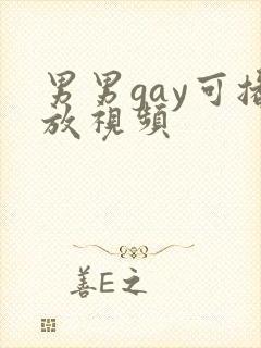 男男gay可播放视频