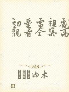 初爱电视剧免费观看全集高清封面