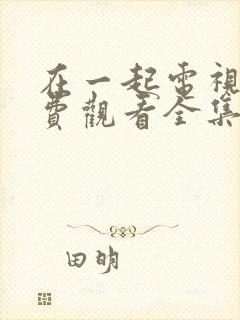 在一起电视剧免费观看全集完整版