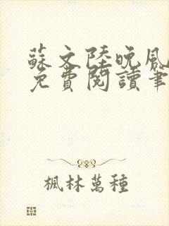 苏文陆晚风小说免费阅读笔趣阁