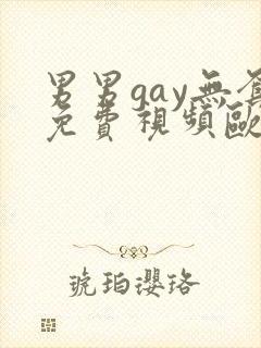 男男gay无套免费视频欧美