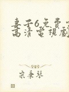 妻子6免费完整高清电视剧封面