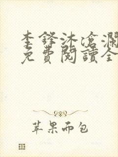 李锋沐沧澜小说免费阅读全文