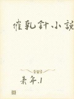 催乳针小说