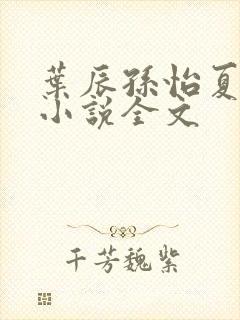 叶辰孙怡夏若雪小说全文