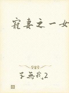 宠妻之一女二夫封面