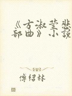 《方淑莹悲哀三部曲》小说