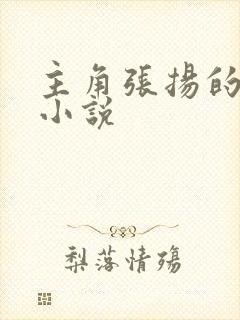 主角张扬的官场小说封面