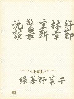 沈惊寒林纾容小说最新章节免费阅读