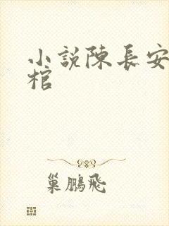 小说陈长安葬神棺封面