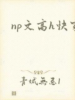 np文高h快穿