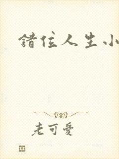 错位人生小说