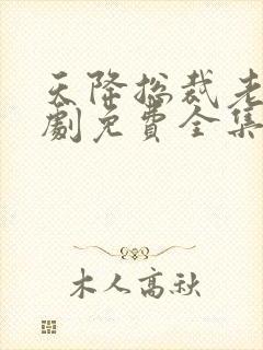 天降总裁老公短剧免费全集高清云