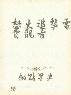 怒火追击电影免费观看