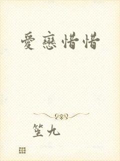 爱恋惜惜封面