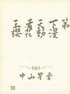 王者天下第一季樱花动漫