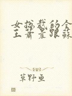 女总裁的全能兵王萧晨跟苏晴