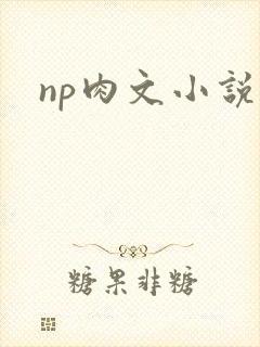 np肉文小说