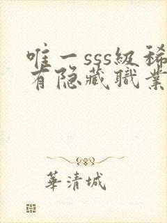 唯一sss级稀有隐藏职业