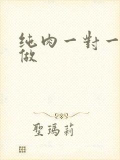纯肉一对一到处做