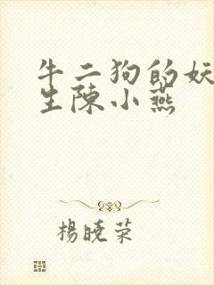 牛二狗的妖孽人生陈小燕