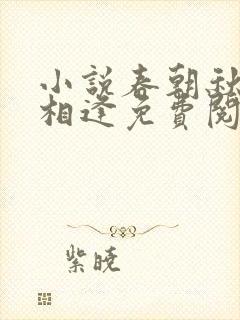 小说春朝秋夕不相逢免费阅读