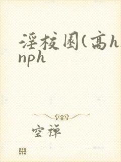 淫校园(高h)nph