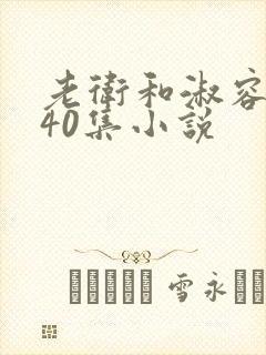 老卫和淑容1-40集小说