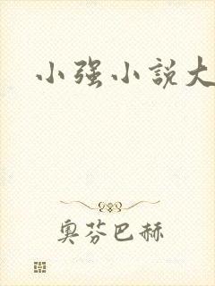 小强小说大全封面