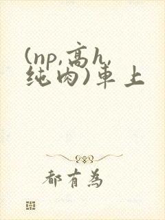 (np,高h,纯肉)车上