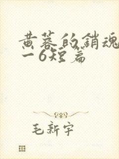 黄蓉的销魂夜1一6短篇封面