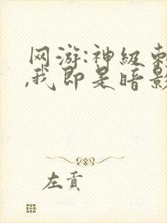 网游:神级刺客,我即是暗影封面