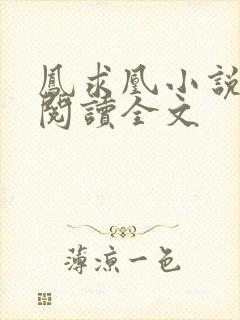 凤求凰小说免费阅读全文封面