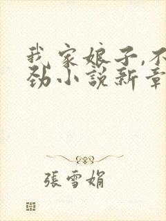 我家娘子,不对劲小说新章节列表