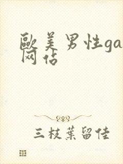 欧美男性gay网站