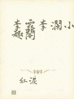 李霖李澜小说笔趣阁