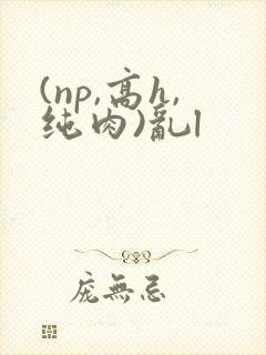 (np,高h,纯肉)乱l
