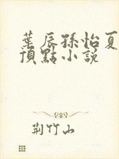 叶辰孙怡夏若雪顶点小说封面