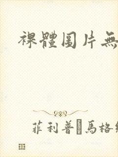 裸体图片无遮挡